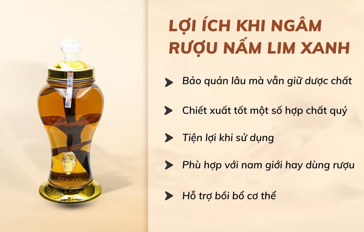Nấm Lim Xanh có ngâm rượu được không